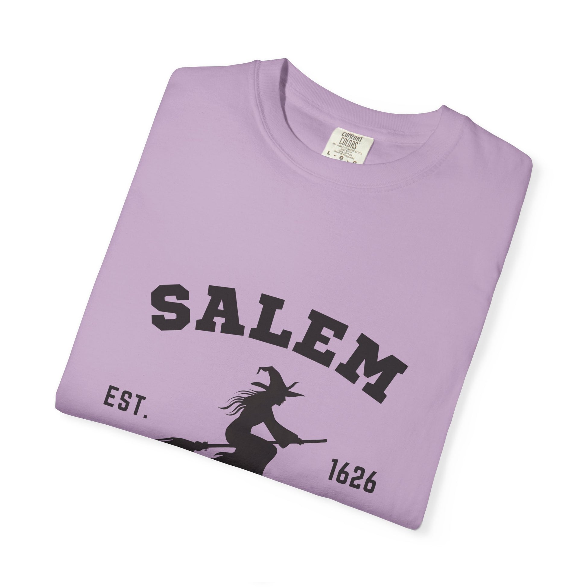 Comfort Colors® Salem Massachusetts shirt, Pooky shirt for her, Witch shirt - PopCultureByDesign36