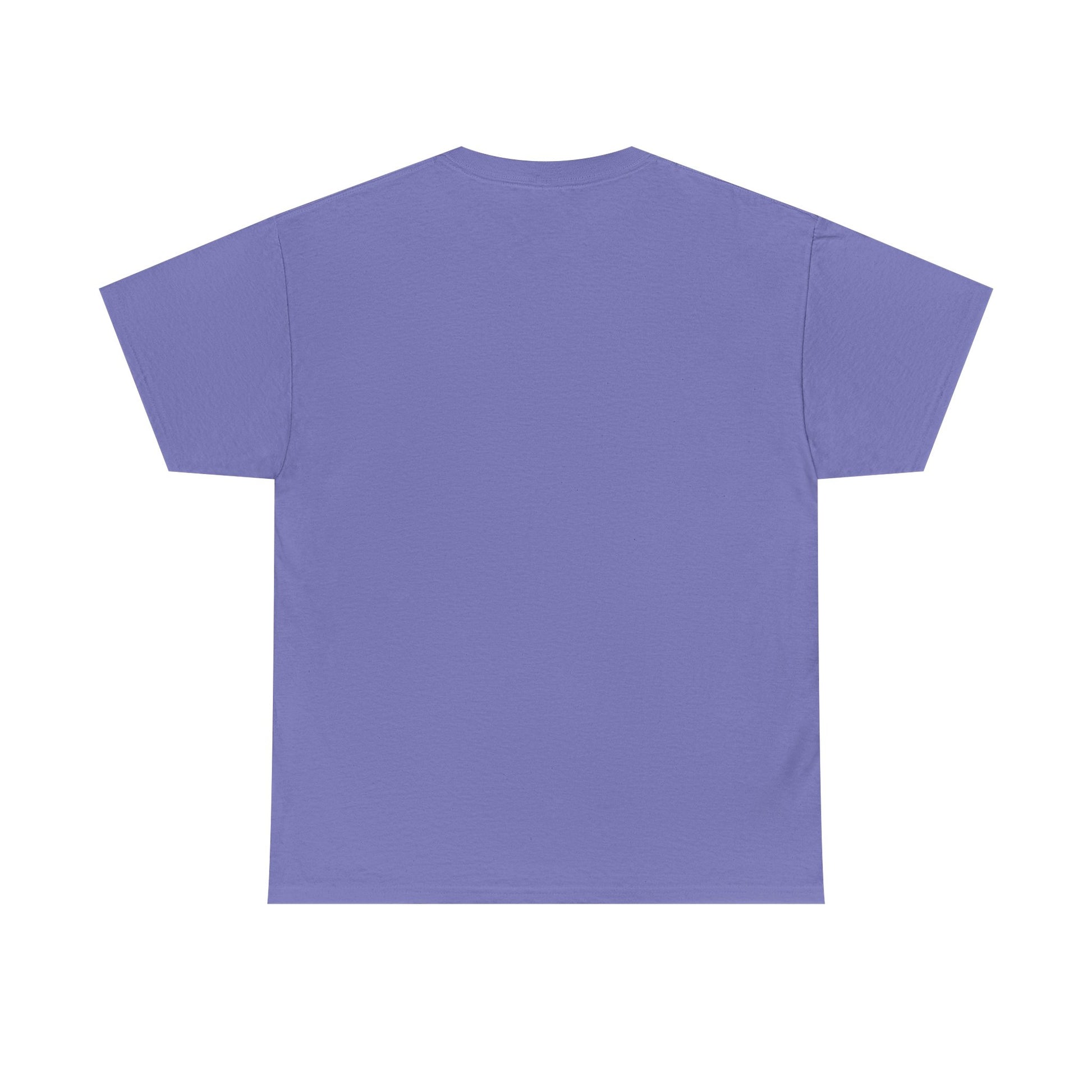Cute Koala Shirt, Lazy Koala Shirt, Funny Koala Shirt, Baby Koala Shirt - PopCultureByDesign36