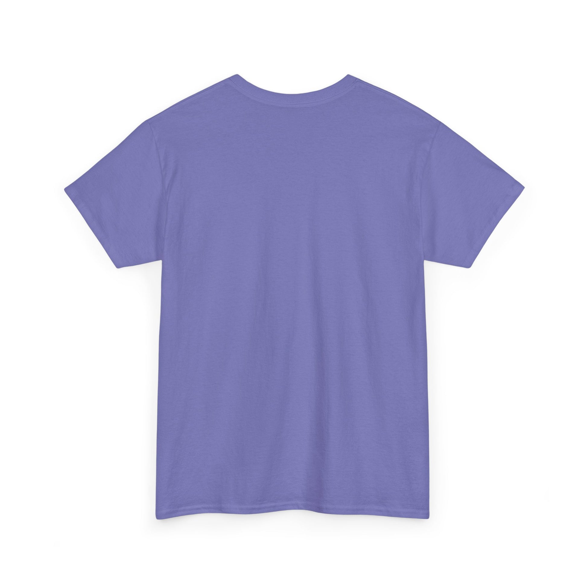 Cute Koala Shirt, Lazy Koala Shirt, Funny Koala Shirt, Baby Koala Shirt - PopCultureByDesign36