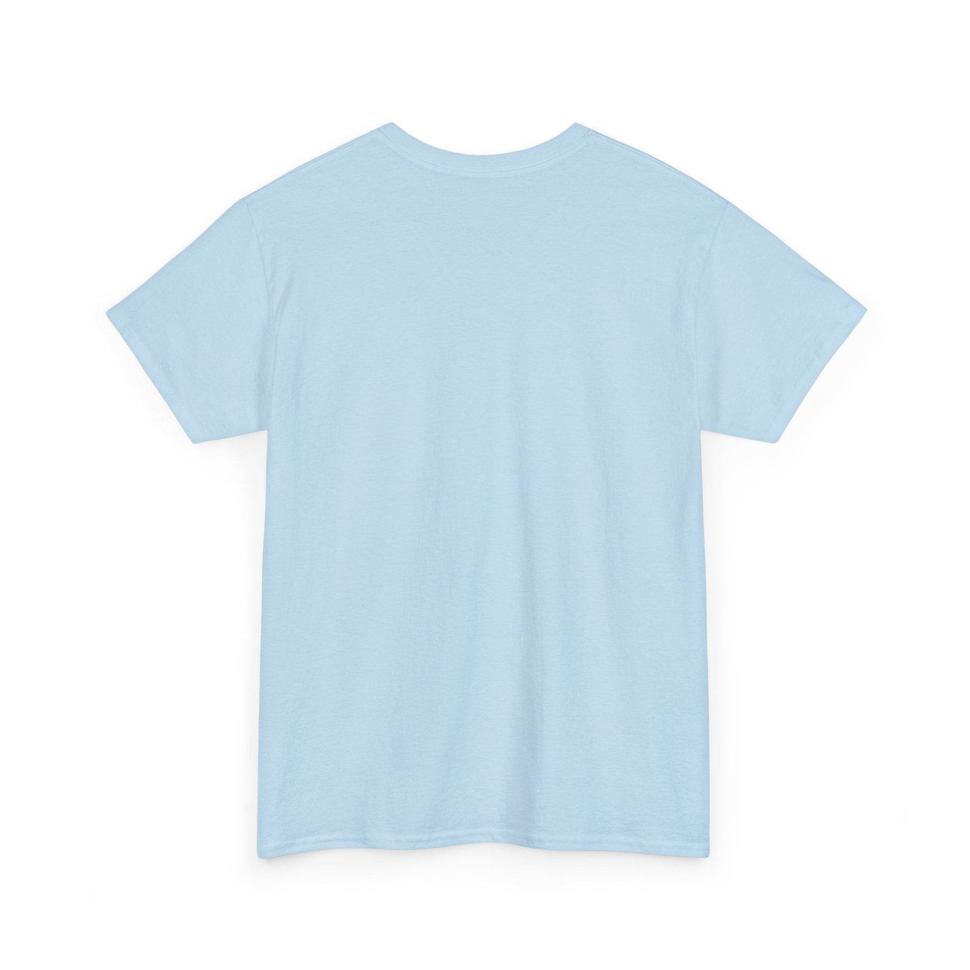 Cute Koala Shirt, Lazy Koala Shirt, Funny Koala Shirt, Baby Koala Shirt - PopCultureByDesign36